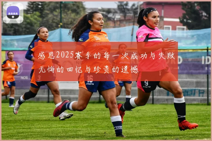 感恩2025赛季的每一次成功与失败无悔的回忆与珍贵的遗憾