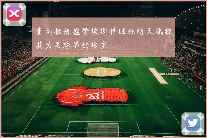 青训教练盛赞埃斯特旺独特天赋称其为足球界的珍宝